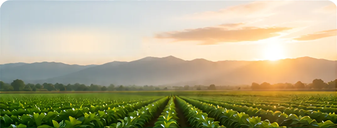 Aq Agro Trading Co