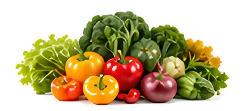 Fresh Vegetables