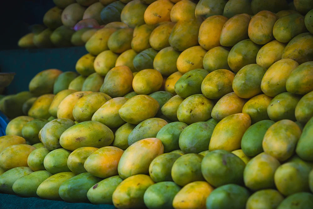 Indian Mangoes